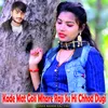 About Kade Mat Goli Mhare Raji Su Hi Chhod Dugi Song